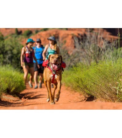 Ruffwear Раница за куче Singletrak Dog Pack