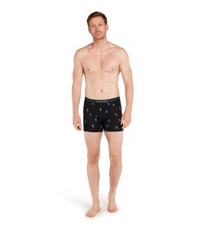 Боксерки Icebreaker Merino 150 Anatomica Boxers Ski Day