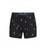 Боксерки Icebreaker Merino 150 Anatomica Boxers Ski Day